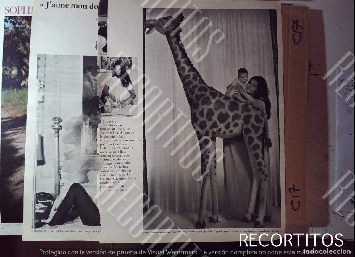 Cine: sofia loren sophia mama en frances - Foto 2