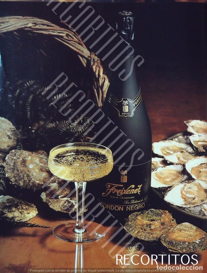 Cine: freixenet cava carta nevada anuncio publicidad