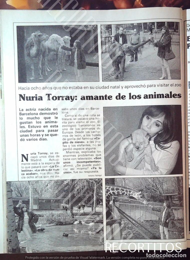 Cine: NURIA TORRAY AMANTE DE LOS ANIMALES