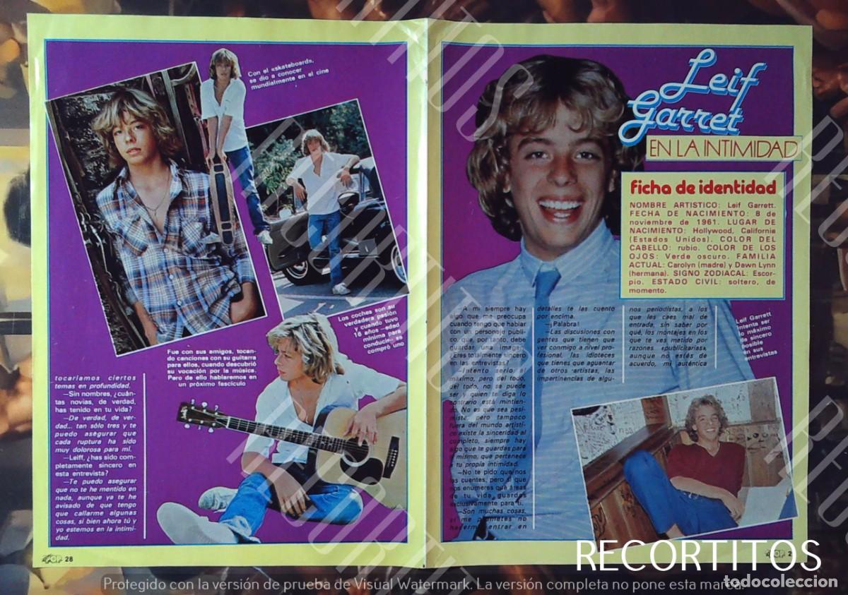Cine: LA VIDA INTIMA DE LEIF GARRETT