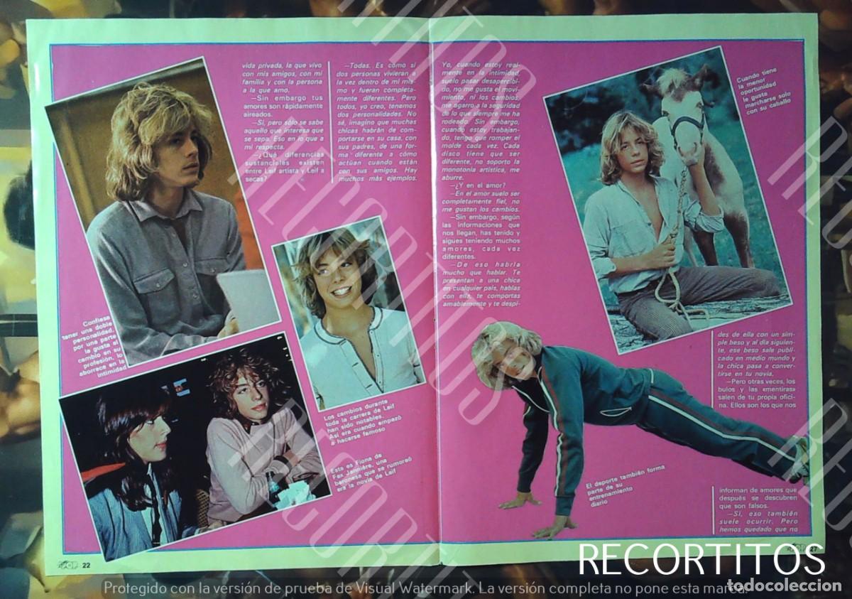 Cine: LA VIDA INTIMA DE LEIF GARRETT - Foto 2