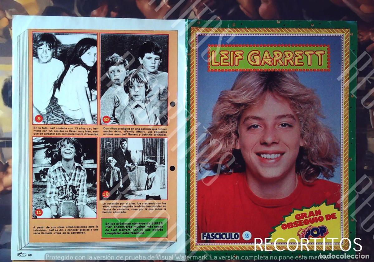 Cine: LA VIDA INTIMA DE LEIF GARRETT 2