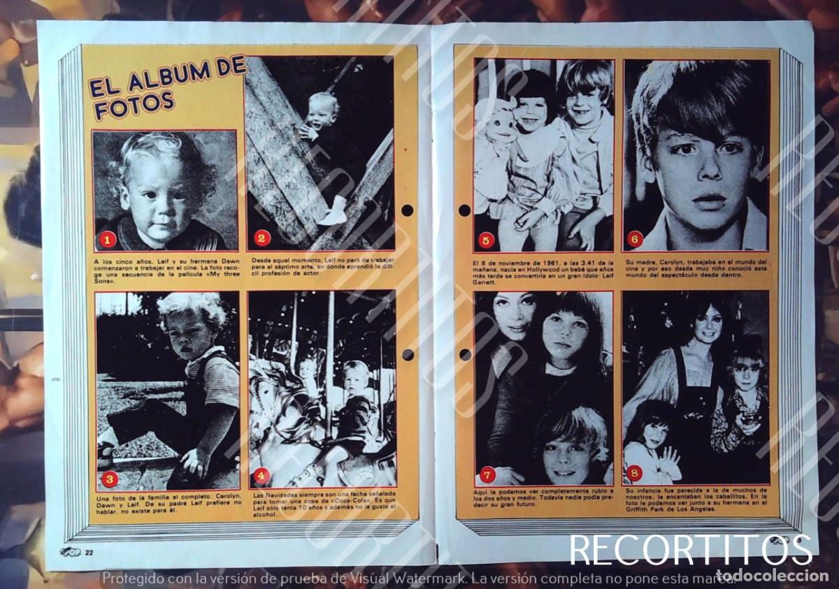 Cine: LA VIDA INTIMA DE LEIF GARRETT 2 - Foto 2