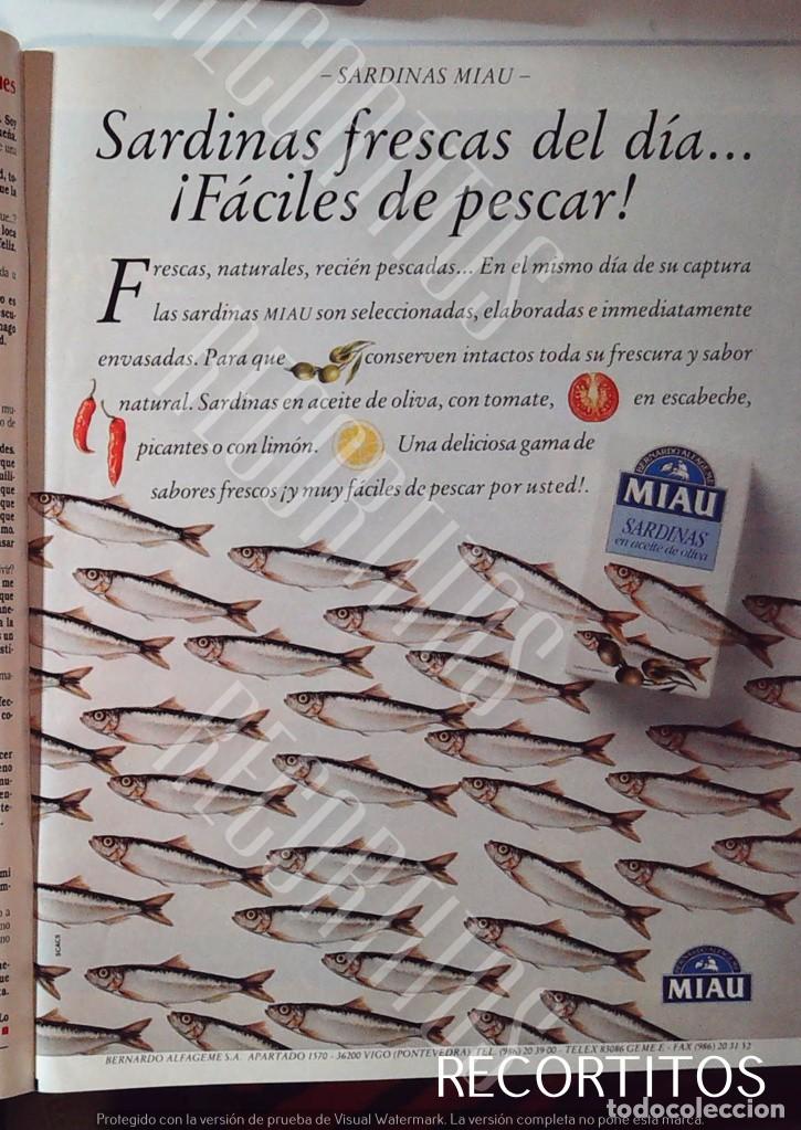 Cine: sardinas conservas miau