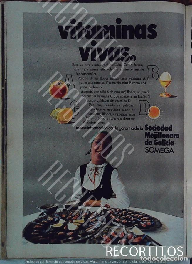Cine: somega sociedad mejillonera de galicia