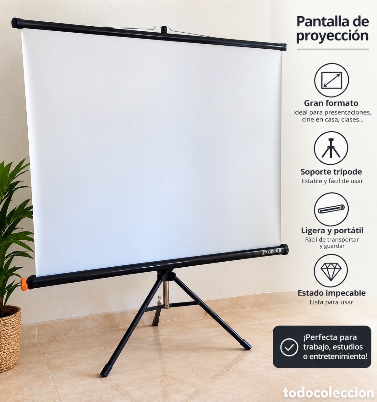 Cine: Pantalla proyecci&oacute;n con tripode gran formato