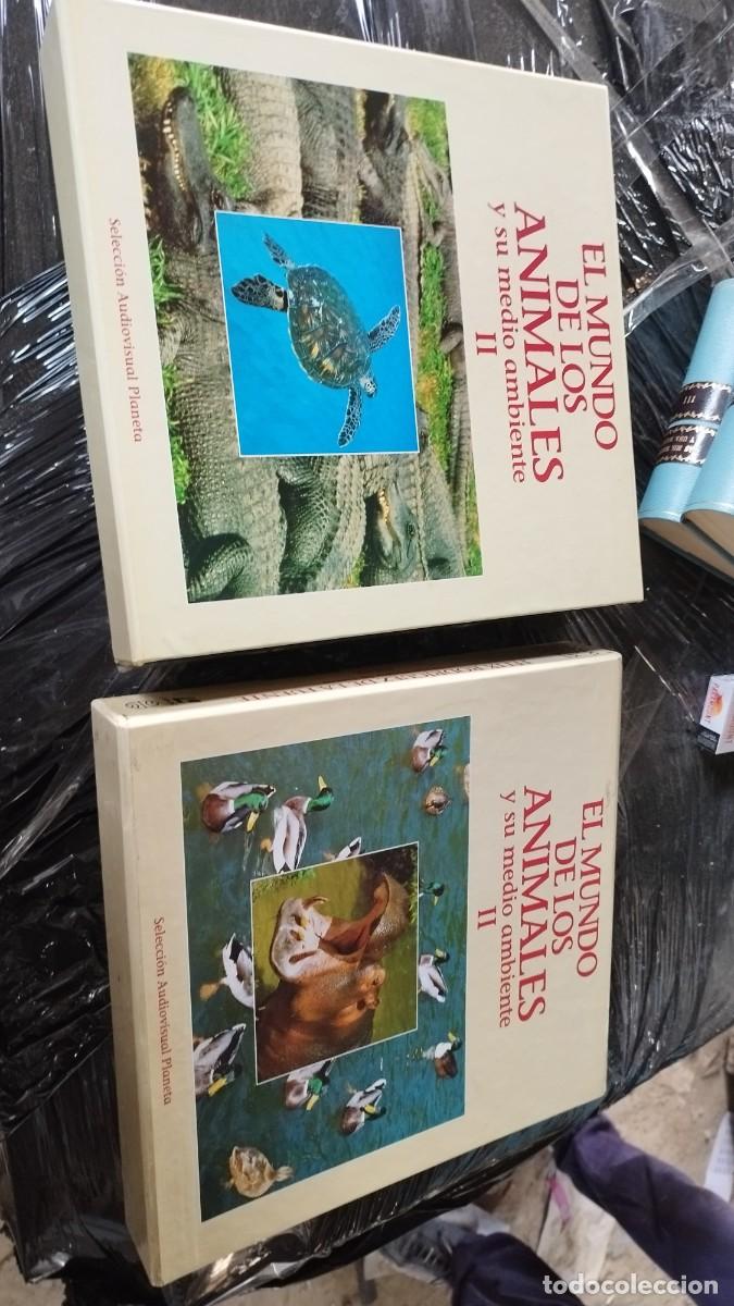 Cine: EL MUNDO DE LOS ANIMALES (I Y II) / PLANETA / EVA210 / AUDIOVISUAL LASER DISC / NATIONGAL GE