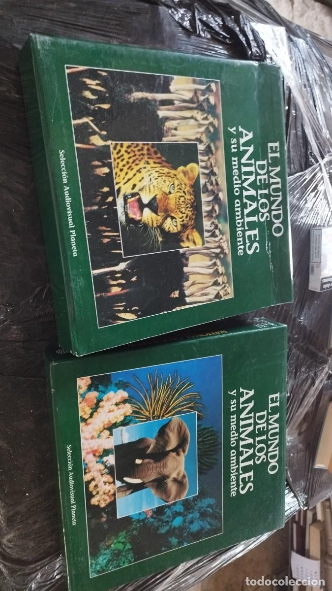 Cine: EL MUNDO DE LOS ANIMALES (I Y II) / PLANETA / EVA210 / AUDIOVISUAL LASER DISC / NATIONAL GE