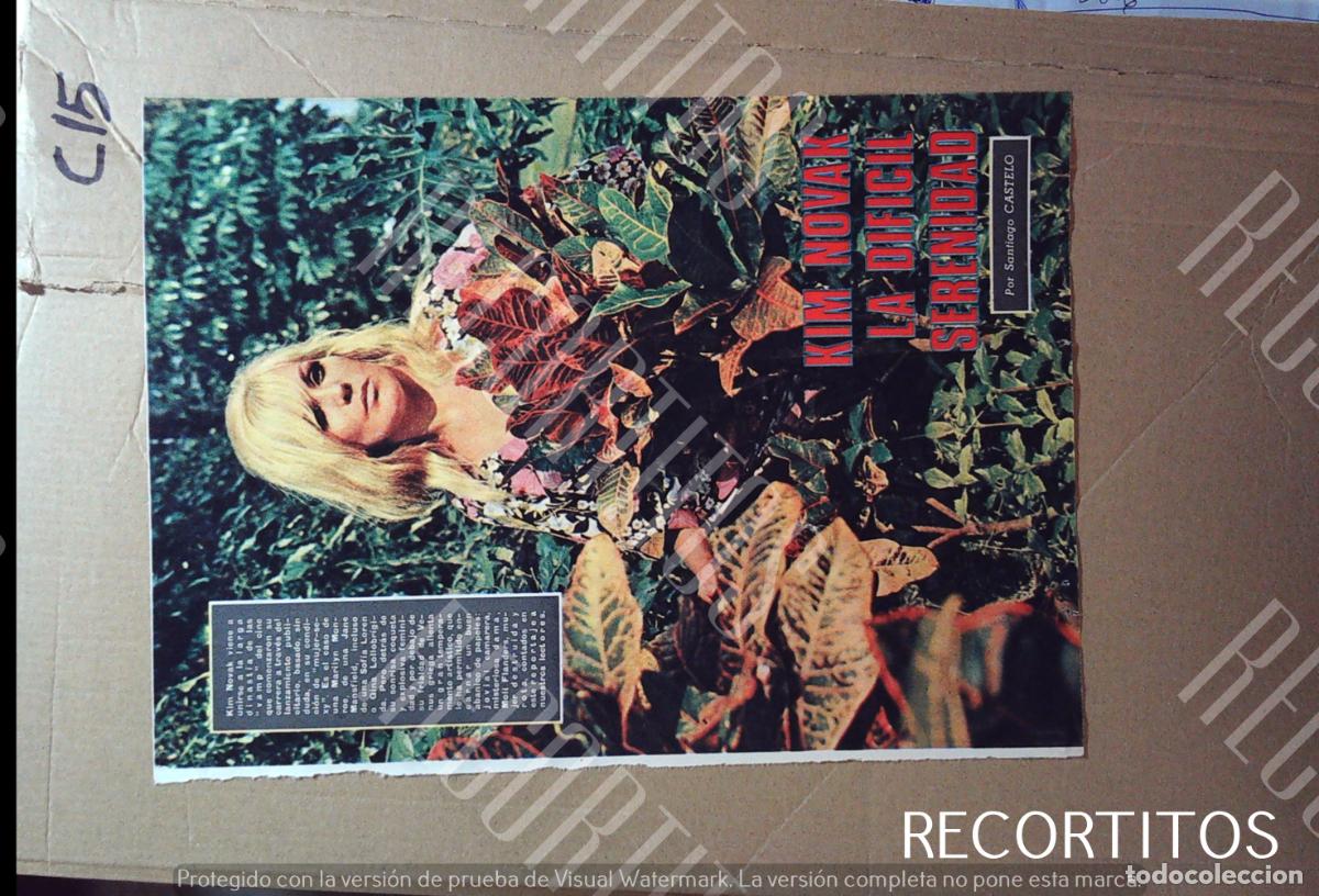 Cine: kim novak la dificil serenidad santiago castelo