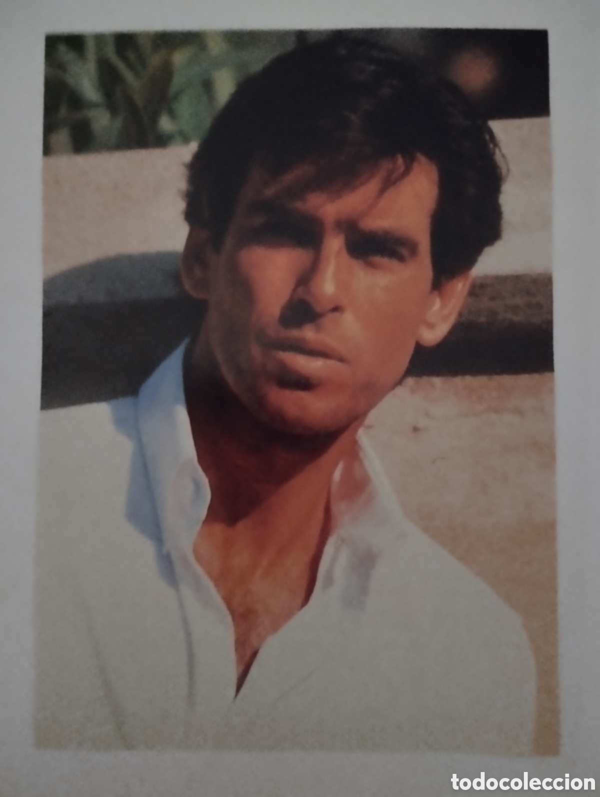 Cine: Minificha N79 Pierce Brosnan - actor.