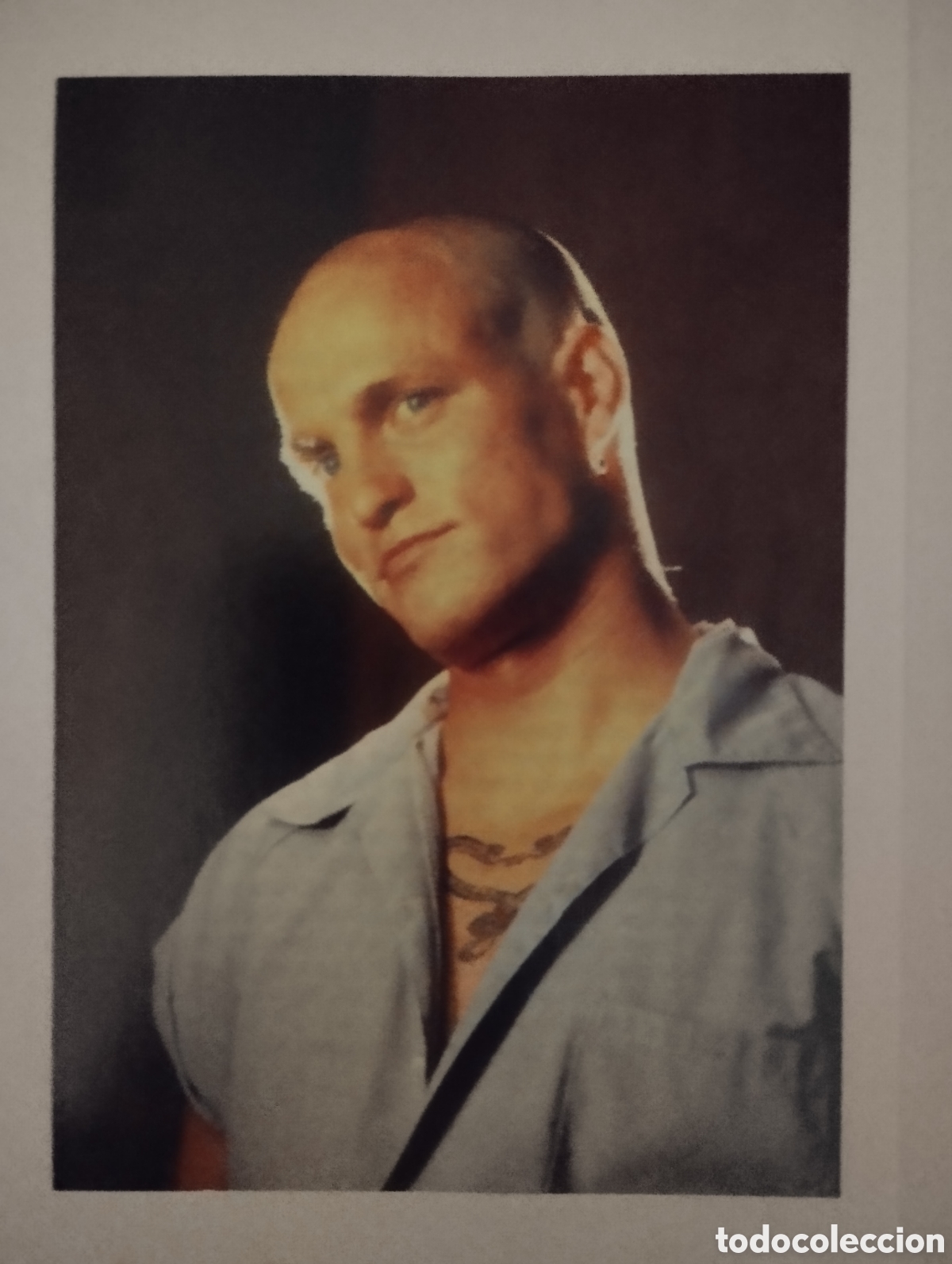Cine: Minificha N7 Woody Harrelson - Actor.