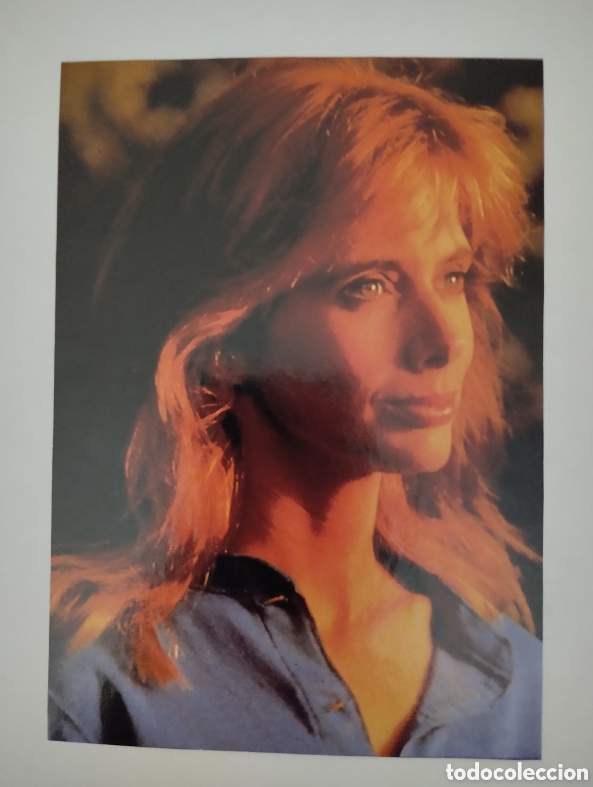 Cine: Minificha N105 Roxanna Arquette - Actriz.