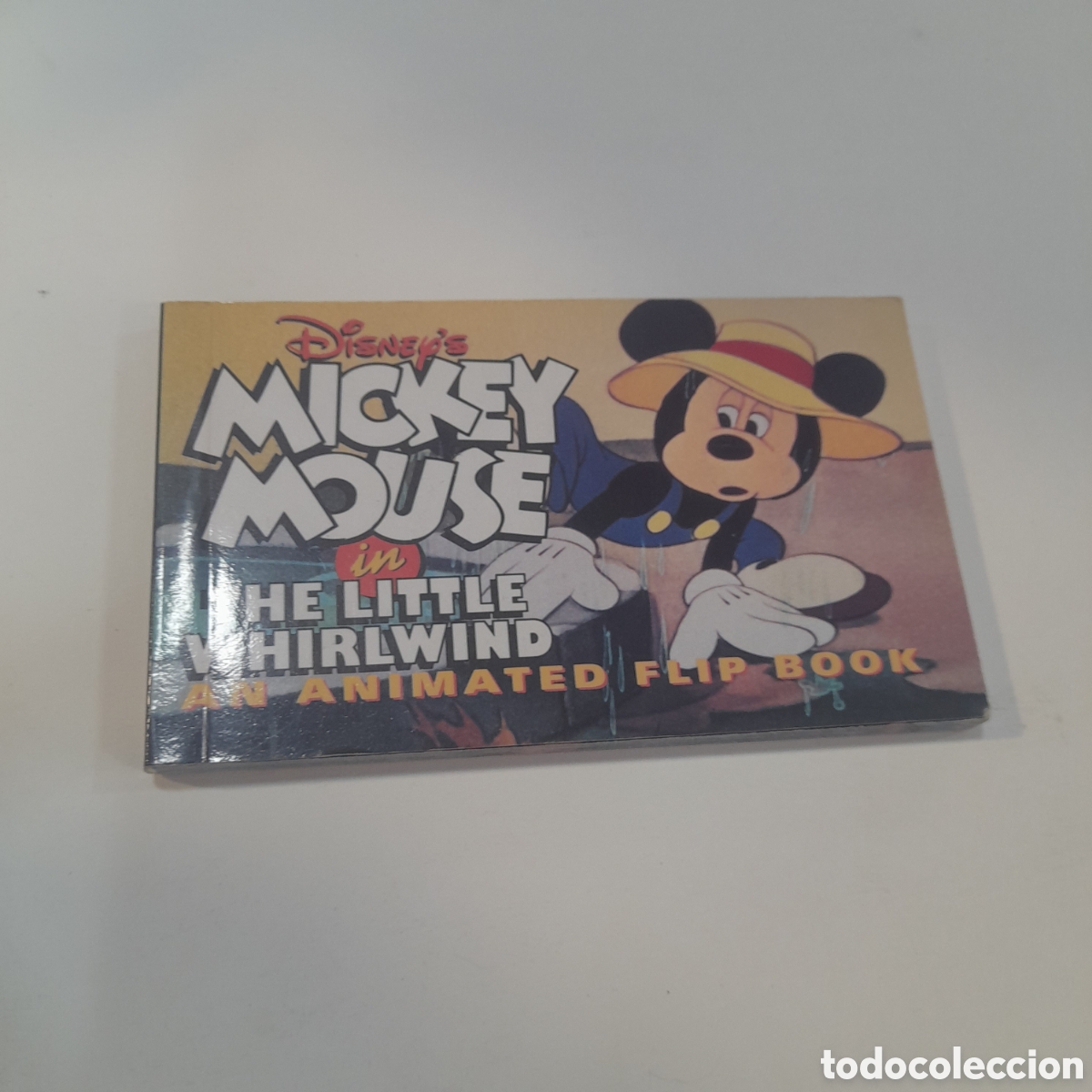 Cine: Flip book animado Disney: Mickey Mouse