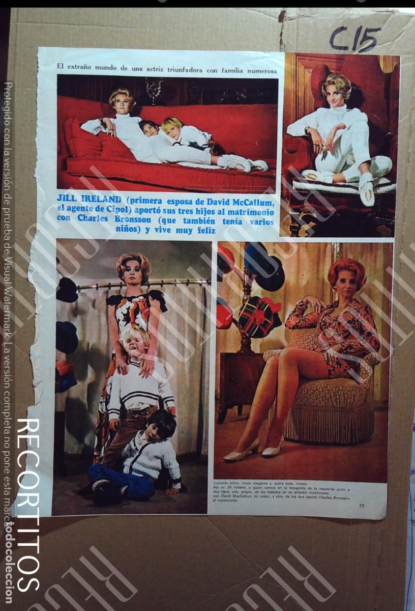 Cine: jill ireland charles bronson DAVID MCCALLUM