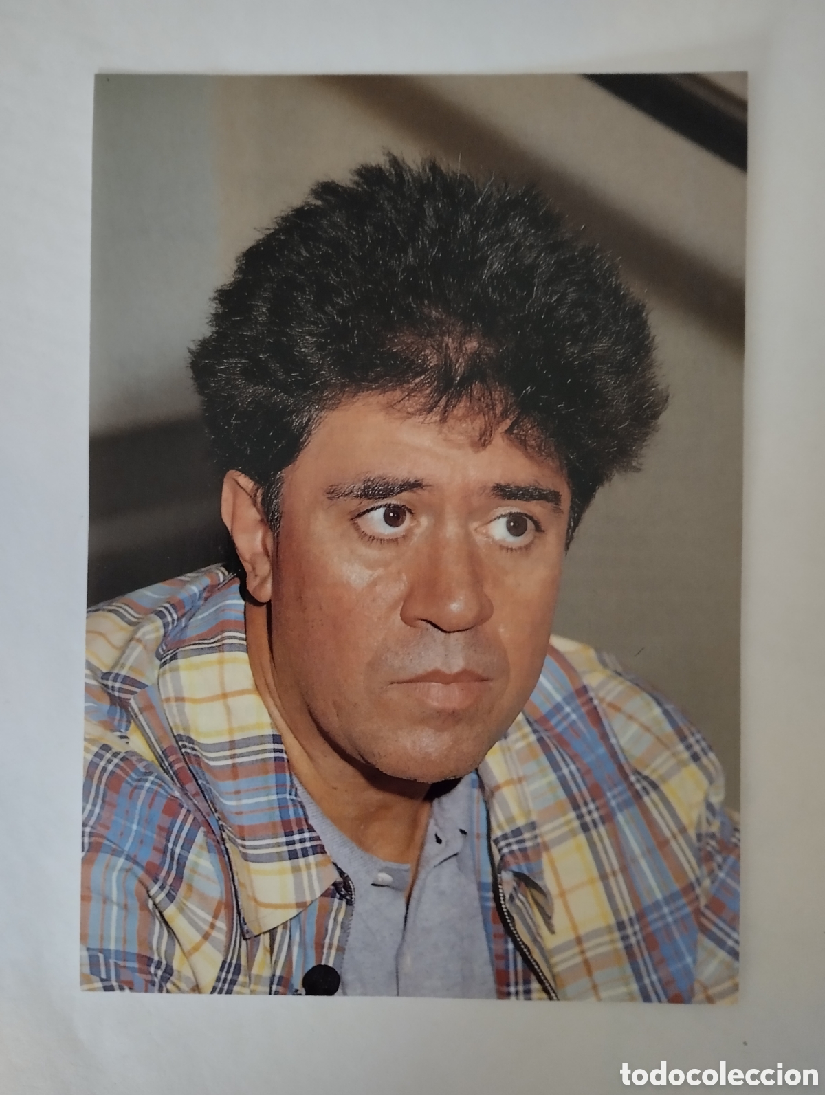 Cine: Minificha N126 Pedro Almodovar - Director.
