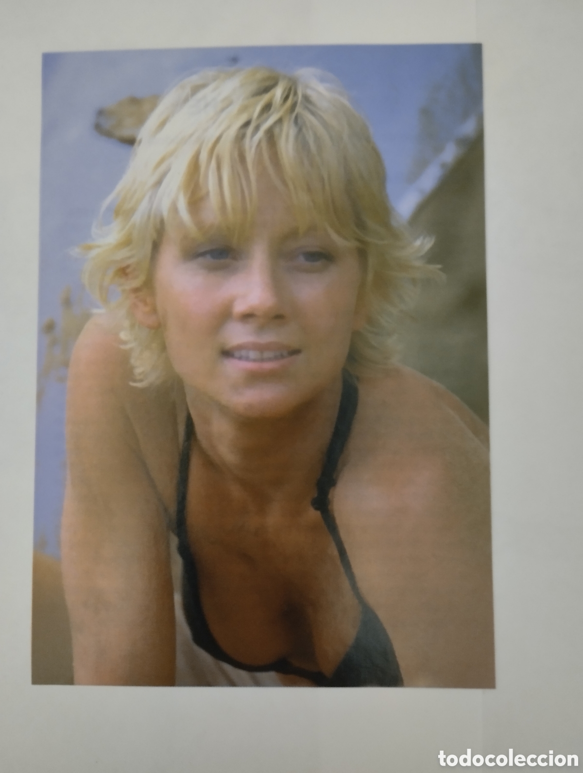 Cine: Minificha N131 Anne Heche - Actriz.