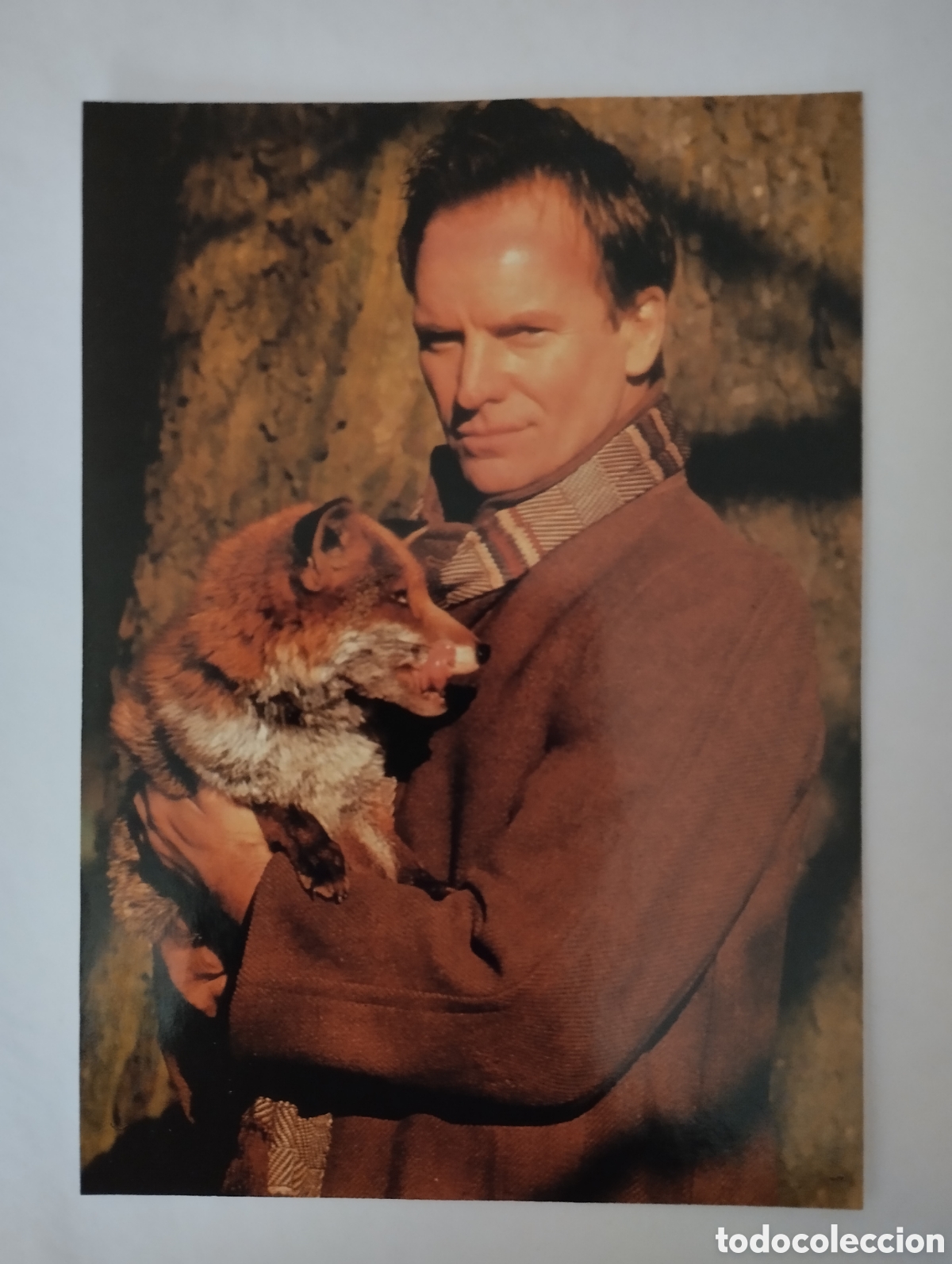 Cine: Minificha N159 Sting - Actor y cantante.