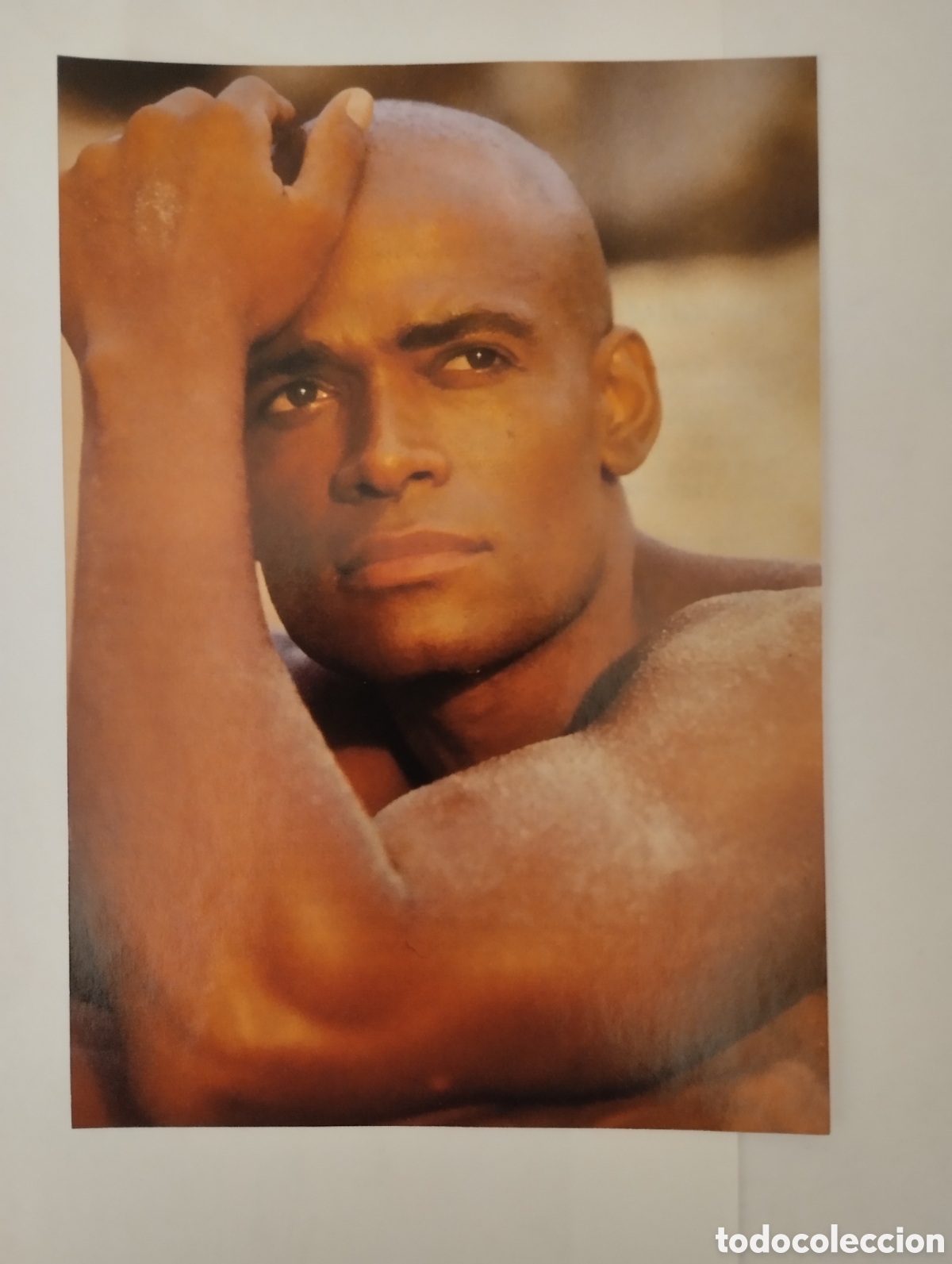 Cine: Minificha N200 Mario Van Peebles - Actor.