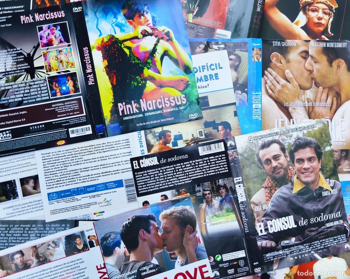 Cine: Cine gay. Conjunto de 14 car&aacute;tulas de DVD de pel&iacute;culas de tem&aacute;tica gay.