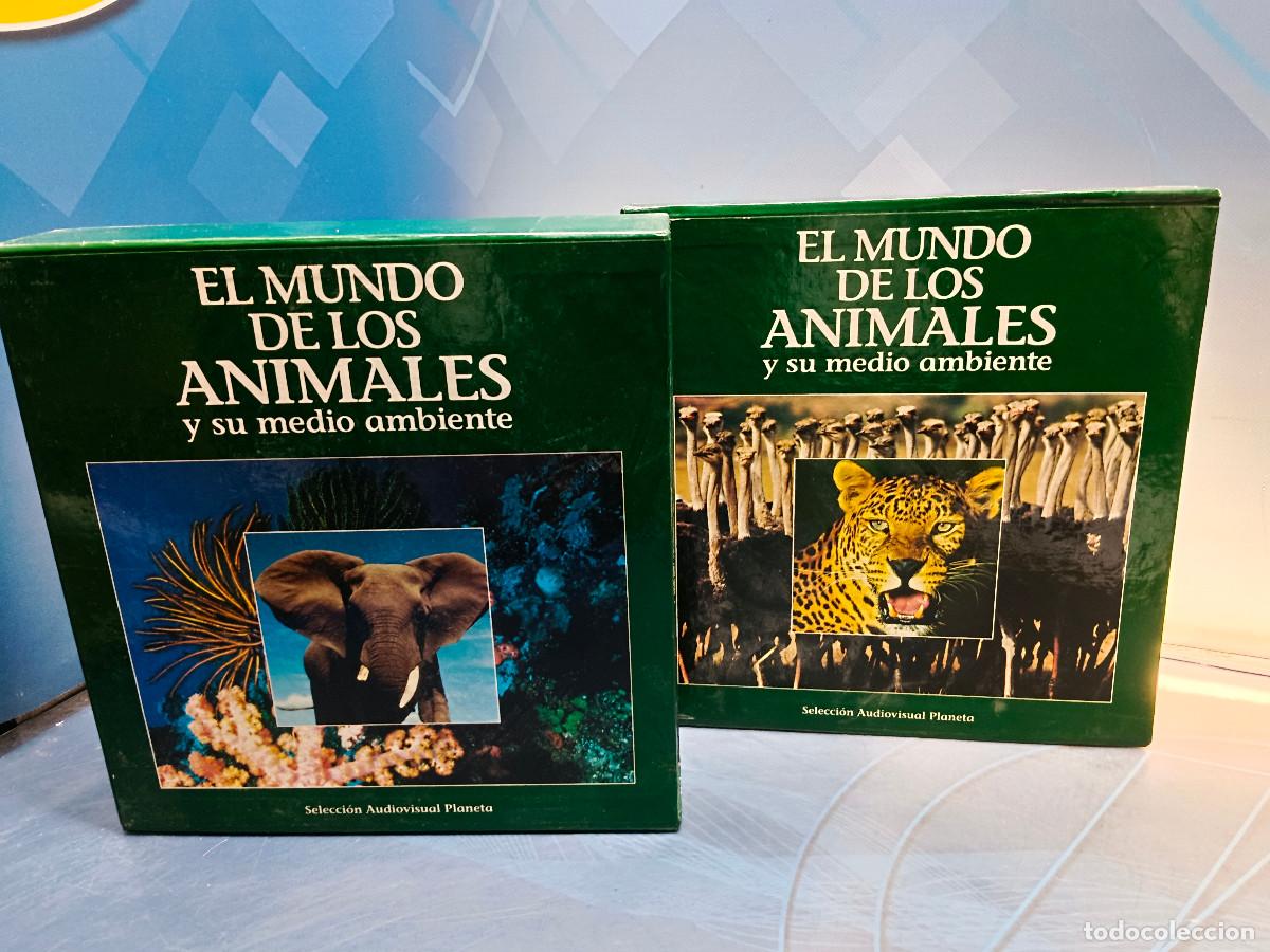 Cinema: Laser disc, 20 unidades, EL MUNDO DE LOS ANIMALES Y SU MEDIO AMBIENTE II 20 DISCOS