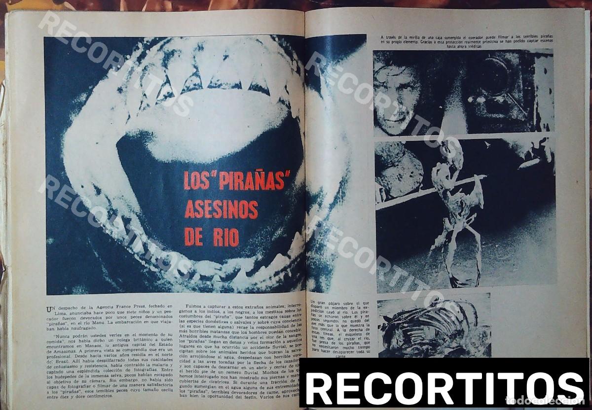 Cine: las pira&ntilde;as los asesinos de rio