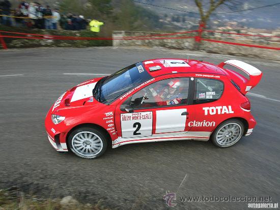 Coches a escala: Peugeot 206 WRC. Rallye de Montecarlo 2003. R.Burns - R.Reid.