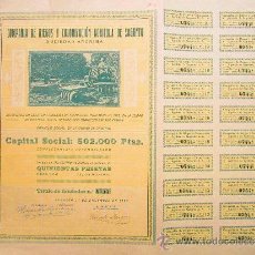 Coleccionismo Acciones Españolas: ACCIÓN COMPAÑÍA DE RIEGOS Y COLONIZACIÓN AGRÍCOLA DE SAGUNTO. 1923. Lote 341894643