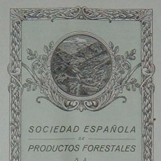 Coleccionismo Acciones Españolas: SOCIEDAD ESPAÑOLA DE PRODUCTOS FORESTALES, MANRESA - BARCELONA (1919) ACCIÓN ORDINARIA