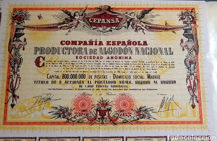 Coleccionismo Acciones Espa&ntilde;olas: ACCION COMPA&Ntilde;IA ESPA&Ntilde;OLA PRODUCTORA DE ALGODON NACIONAL. MADRID 1966