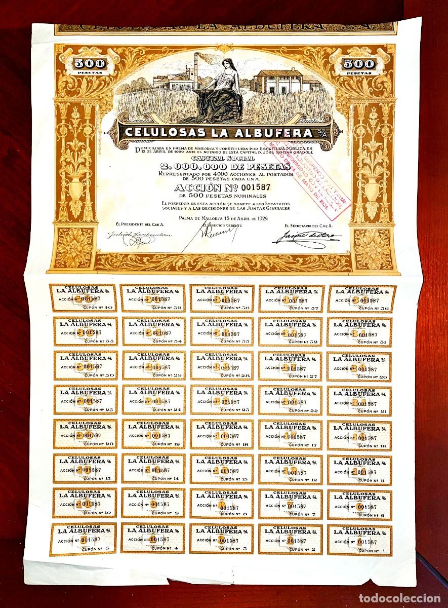 Coleccionismo Acciones Espa&ntilde;olas: Celulosas la Albufera ,Palma de Mallorca 1929, acci&oacute;n