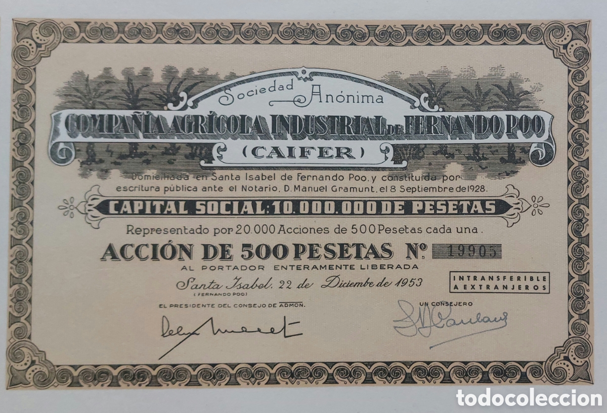 Coleccionismo Acciones Espa&ntilde;olas: Compa&ntilde;&iacute;a Agr&iacute;cola Industrial de Fernando Poo - CAIFER (Espa&ntilde;a Colonial) 1953
