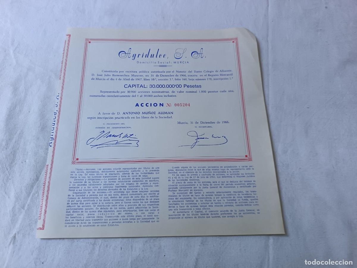 Coleccionismo acciones espa&ntilde;olas: Antigua acci&oacute;n espa&ntilde;ola, Agridulce SA, Murcia, 1966