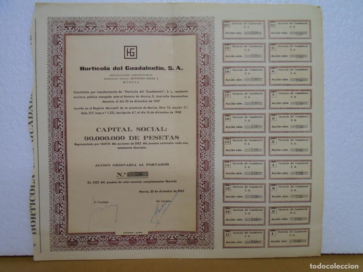 Coleccionismo acciones espa&ntilde;olas: HORTICOLA DEL GUADALENTIN,S.A.MURCIA .ACCION DE 1967.