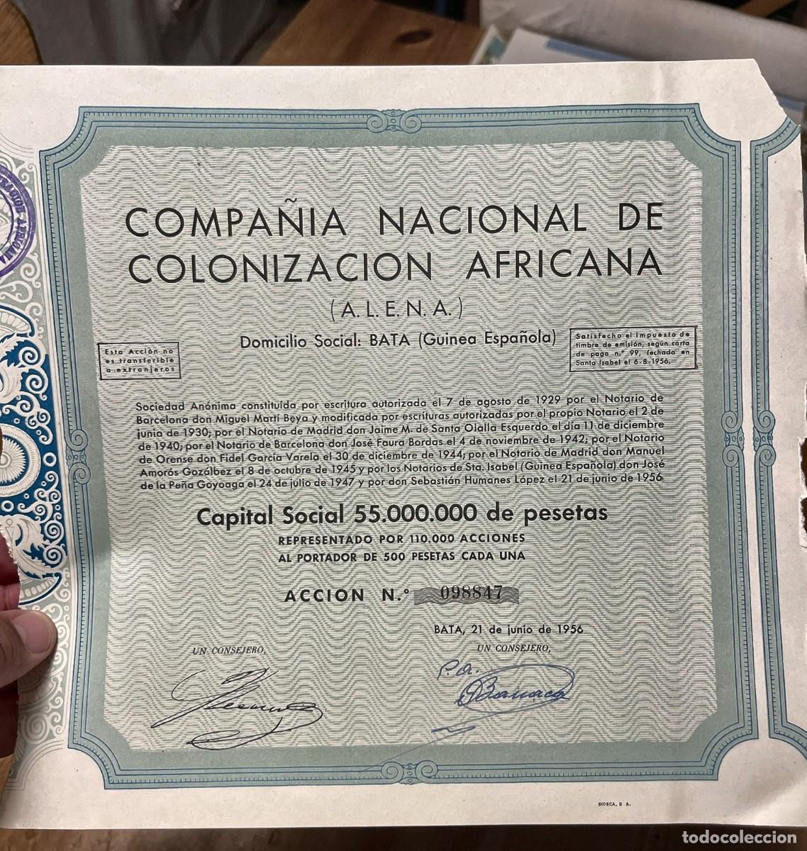 Coleccionismo acciones espa&ntilde;olas: ACCION COMPA&Ntilde;IA NACIONAL DE COLONIZACION AFRICANA ALENA BATA GUINEA ESPA&Ntilde;OLA 1956