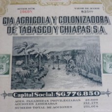 Coleccionismo Acciones Extranjeras: ACCIÓN CIA. AGRÍCOLA Y COLONIZADORA DE TABASCO Y CHIAPAS S.A. MÉXICO 1912
