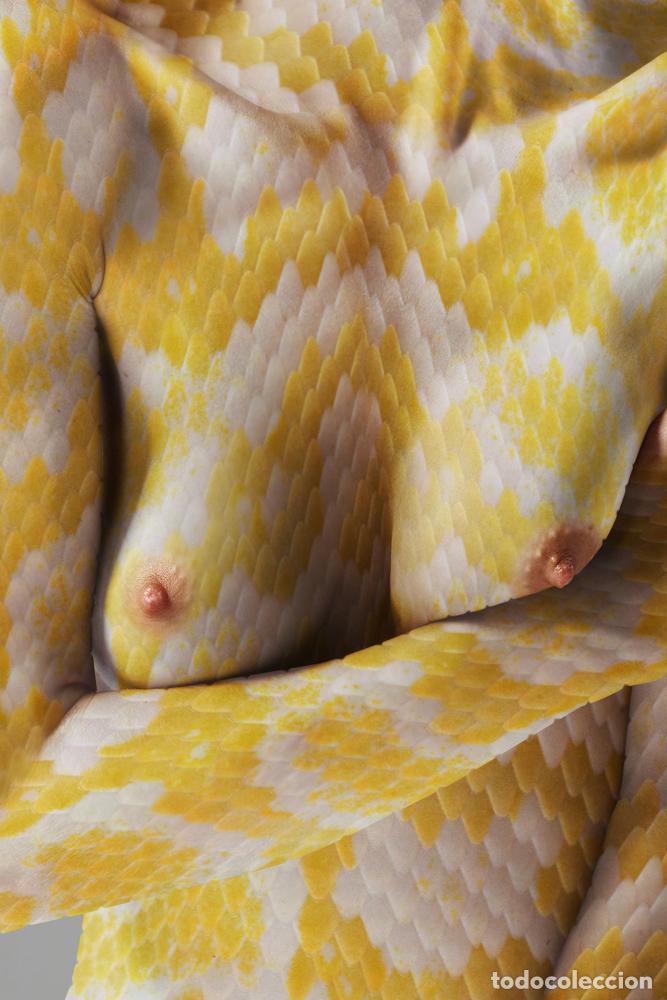 Arte: POSTER ER&Oacute;TICO ALBINO PYTHON - Foto 5