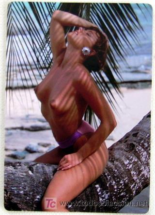 Kalender: CALENDARIO CHICA PORTUGUES A&Ntilde;O 2005