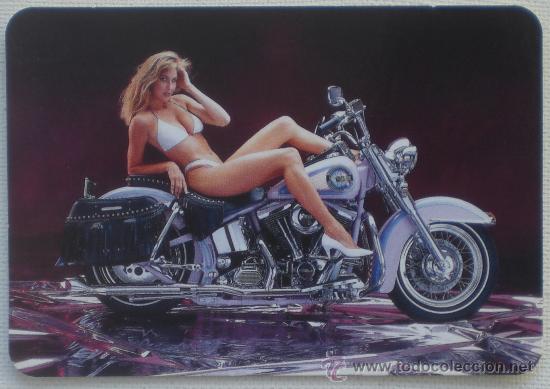 Kalender: CALENDARIO CHICA EN MOTO A&Ntilde;O 2008