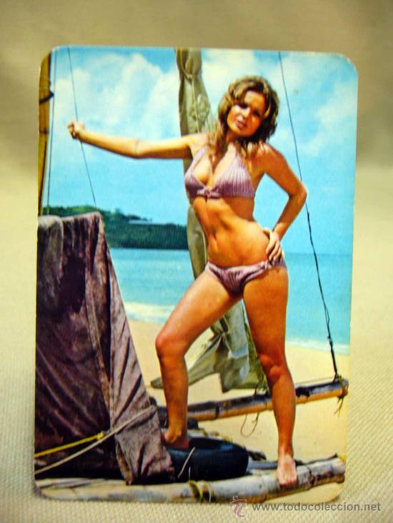 Calendriers: CALENDARIO EROTICO, CHICA POSANDO, 1973, BAR BEL, LA CENIA, TARRAGONA