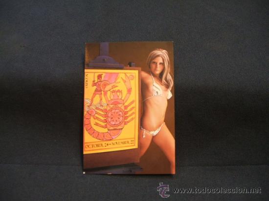 Kalender: CALENDARIO DE BOLSILLO - CHICA - 1977 -