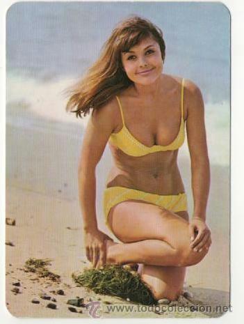 Calendriers: Calendario se&ntilde;orita, chica, desnudos femeninos 1973 ( con publicidad )