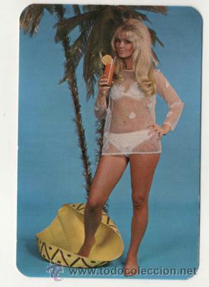 Calendriers: Calendario se&ntilde;orita, chica, desnudos femeninos 1972 ( ver dorso )