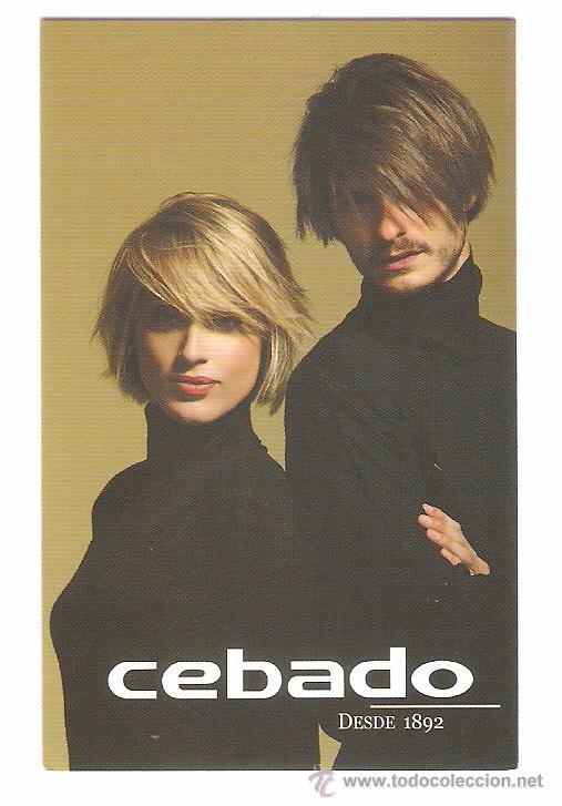 Kalender: CALENDARIO DE BOLSILLO PUBLICITARIO A&Ntilde;O  2009  CHICA Y CHICO  - PELUQUERIA  CEBADO