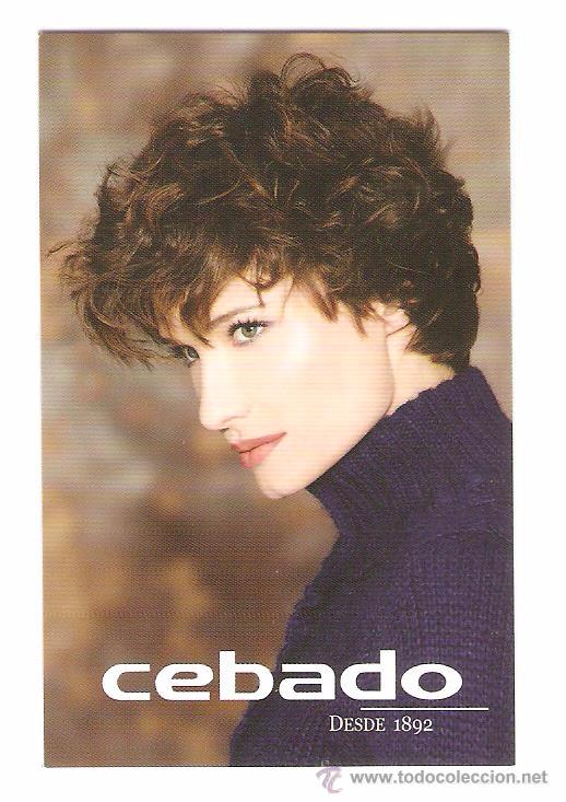 Kalender: CALENDARIO DE BOLSILLO  PUBLICITARIO A&Ntilde;O 2011  CHICA  - PELUQUERIA CEBADO