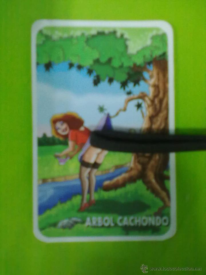 Kalender: ARBOL CACHONDO CALENDARIO EROTICO 2008