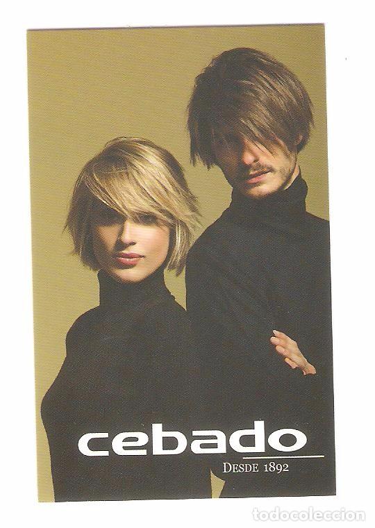 Kalender: CALENDARIO DE BOLSILLO  PUBLICITARIO  A&Ntilde;O 2009  CHICA Y CHICO - PUBLICIDAD  CEBADO