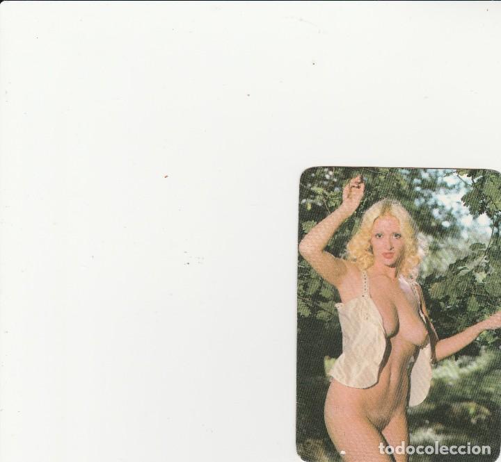Calendars: CALENDARIO EROTICO 1978 SERIE D.L.B 3793-77 GRAPPA GRAFICAS PORVENIR
