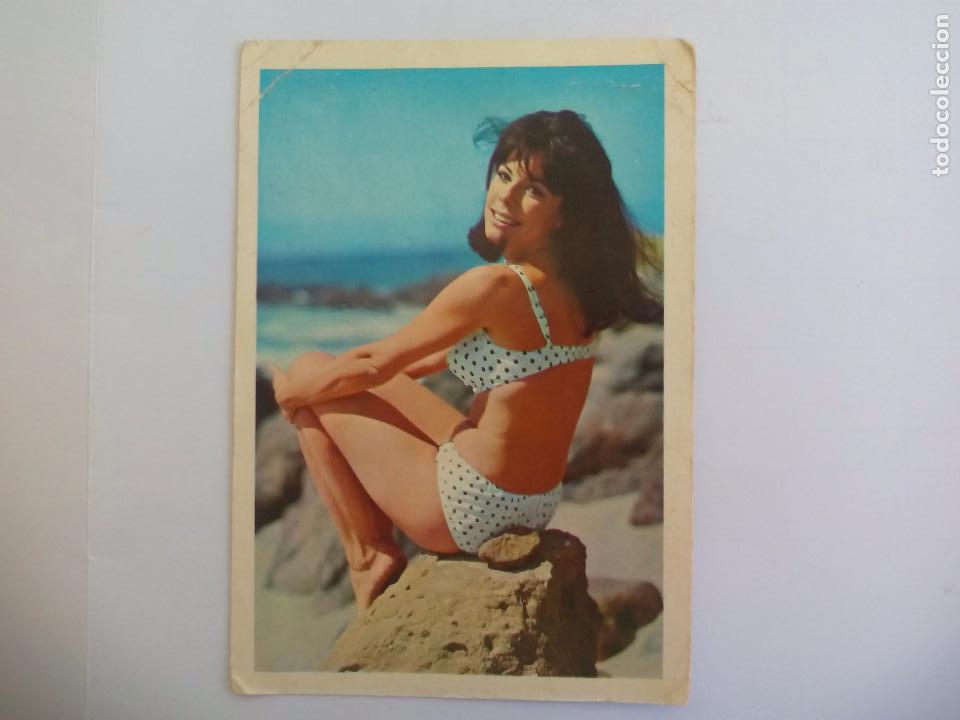 Calendriers: Calendario de bolsillo. Chica, er&oacute;tico. 1970 Serie 31