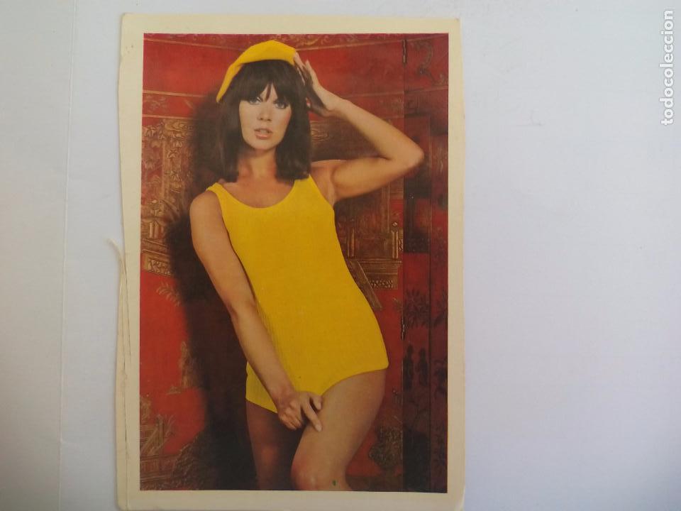 Calendars: Calendario de bolsillo Chica, er&oacute;tico 1970 Serie 27