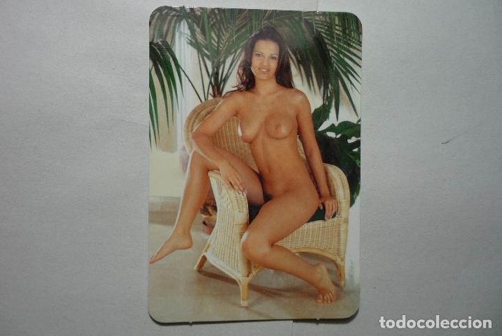 Calendars: calendario bolsillo desnudo femenino  2008